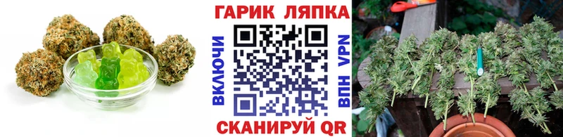 МЕГА как зайти  как найти закладки  Кузнецк  Cannafood конопля 
